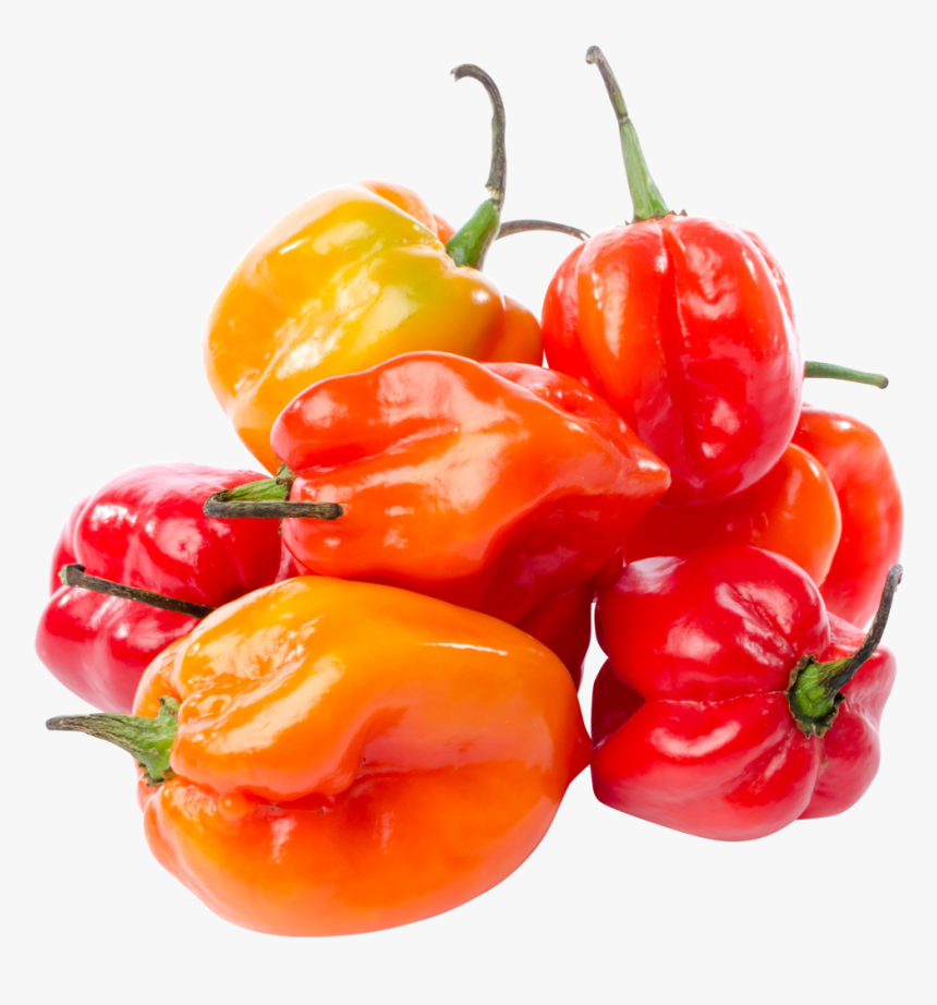 Habanero Peppers, HD Png Download, Free Download