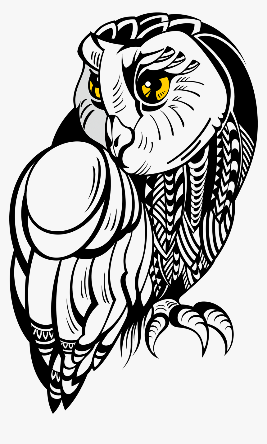 Owl Tattoo Drawing Illustration Stock Free Hq Image - Black And White Owl Png, Transparent Png, Free Download