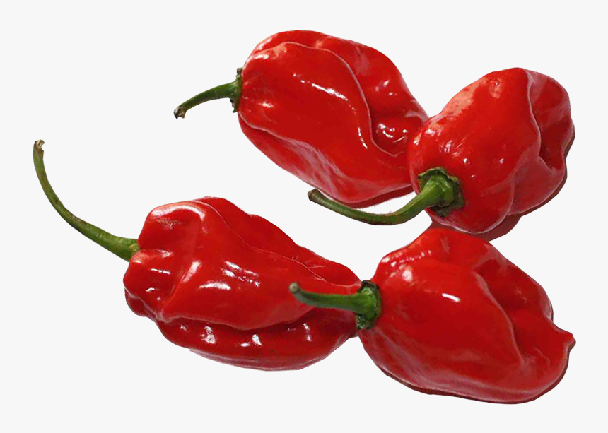 Transparent Habanero Png - Habanero Chili, Png Download, Free Download