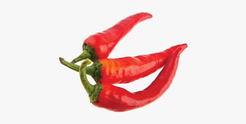 Chili Pepper, HD Png Download, Free Download