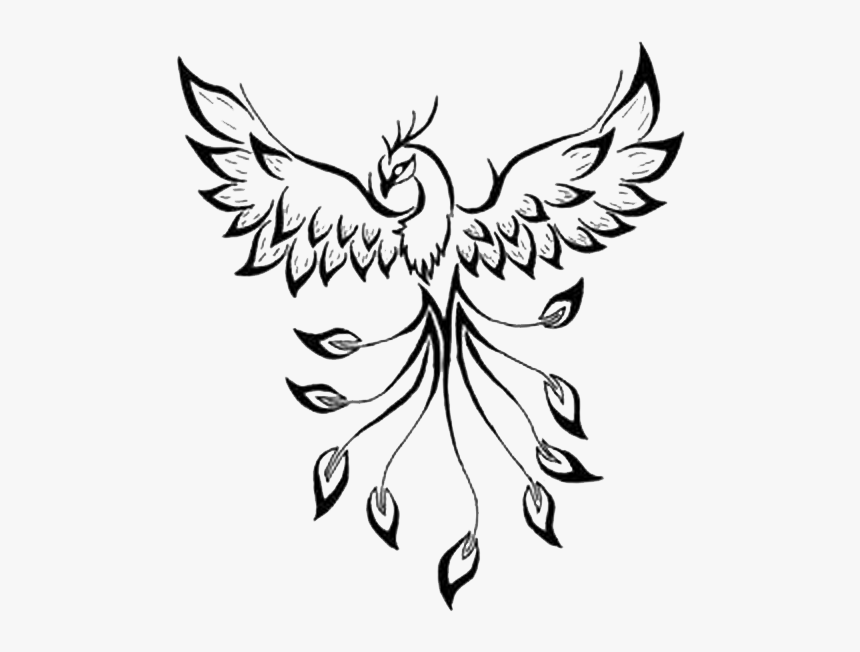 Tattoo Phoenix Flash Drawing Image - Outline Of A Phoenix, HD Png Download, Free Download