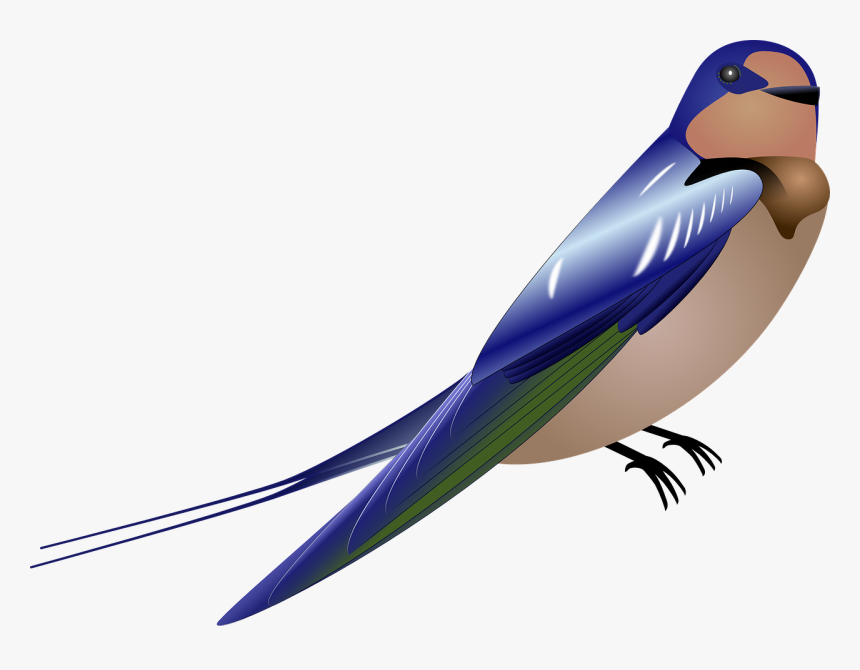 Flying Swallow Png - Gambar Burung Kartun Png, Transparent Png, Free Download