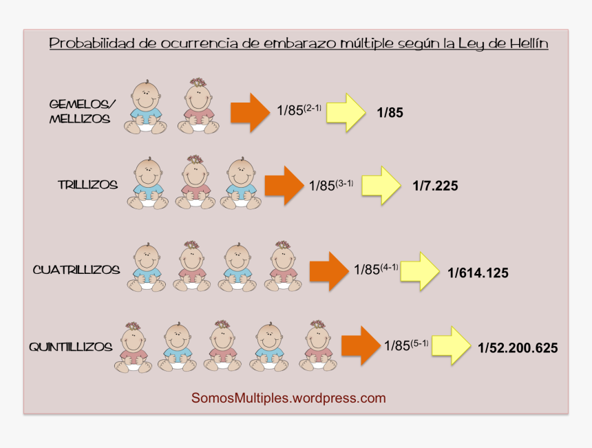 Ley De Hellin Probabilidad Embarazo Múltiple - Circle, HD Png Download, Free Download