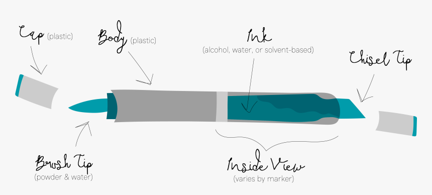 Anatomy Of An Art Marker - Inside Of A Marker, HD Png Download, Free Download