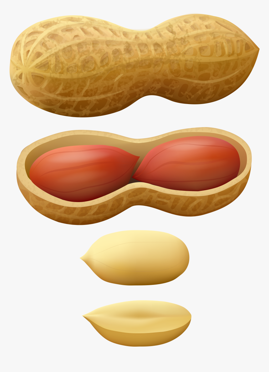 Clipart Peanuts - Peanuts Clipart, HD Png Download, Free Download