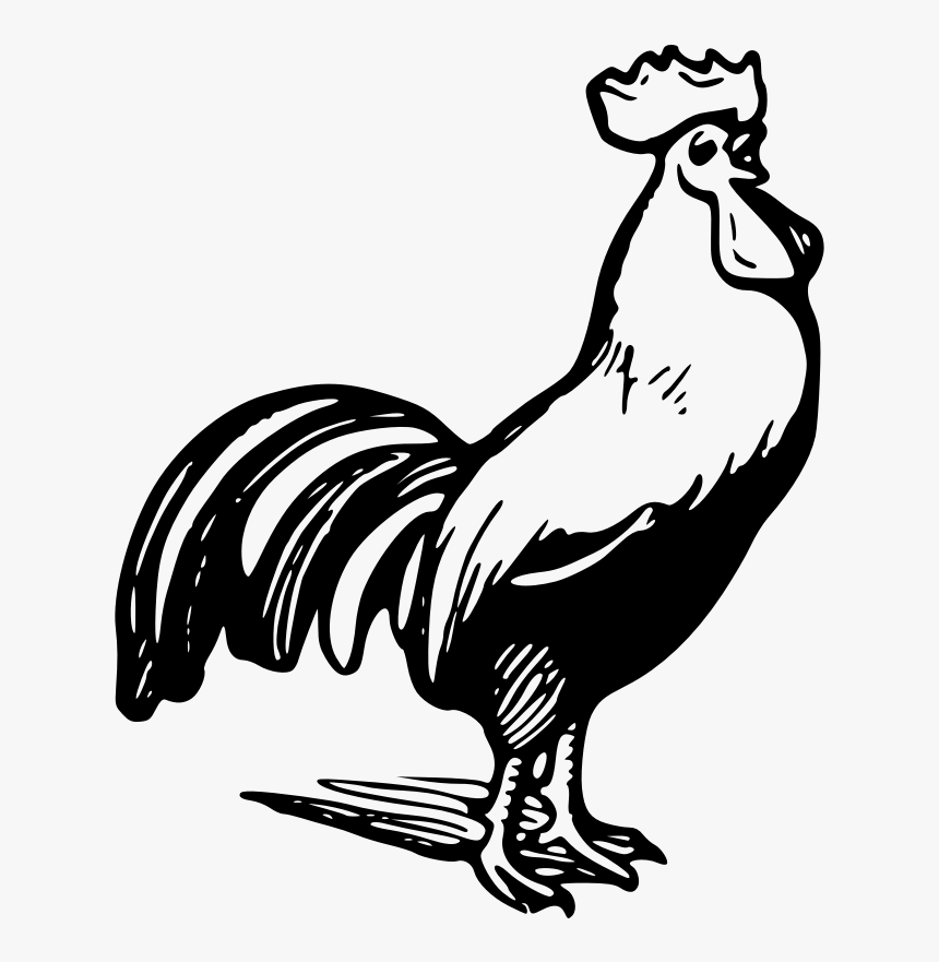 Chicken Rooster Black And White Clip Art - Rooster Clip Art Black And White, HD Png Download, Free Download