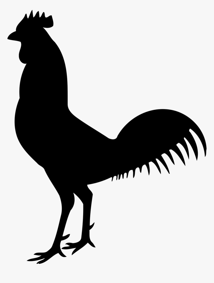 Chicken Skeleton Clip Art - Cock Bird Silhouette, HD Png Download, Free Download