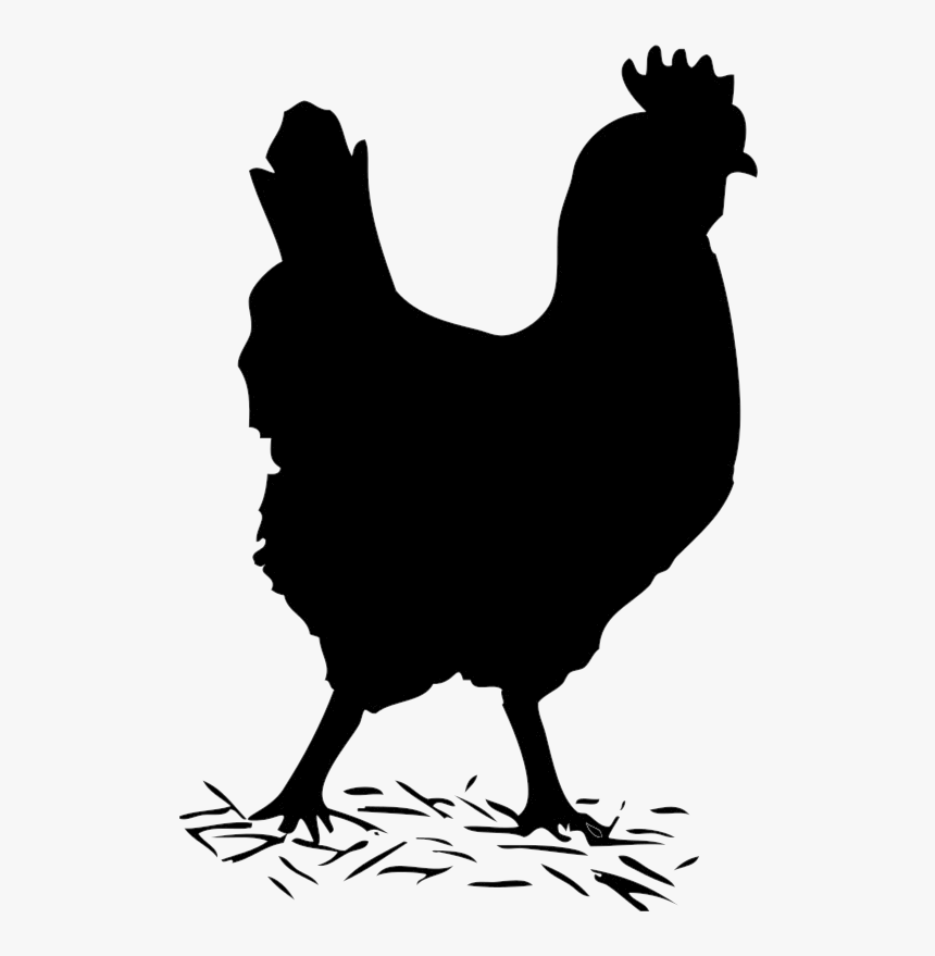 Chicken Clipart Track Hen Black And White Transparent - Chicken Clipart Black And White, HD Png Download, Free Download