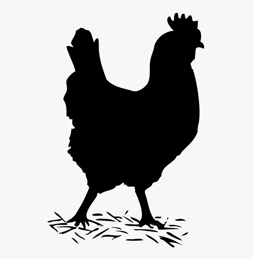 Chicken Clipart Shadow - Chicken Clipart Black And White, HD Png Download, Free Download