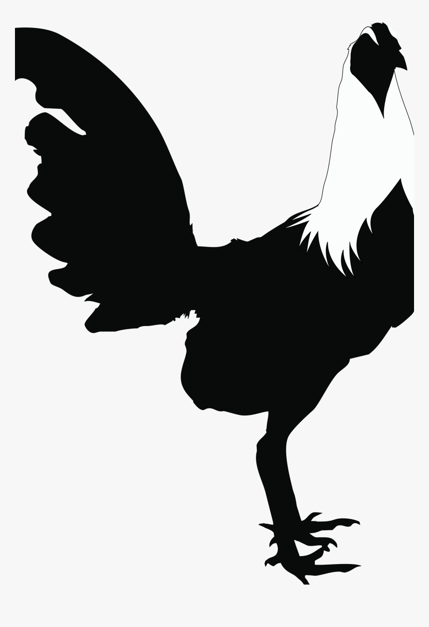 Rooster Chicken Silhouette Black And White Clip Art - Siluetas De Gallos, HD Png Download, Free Download