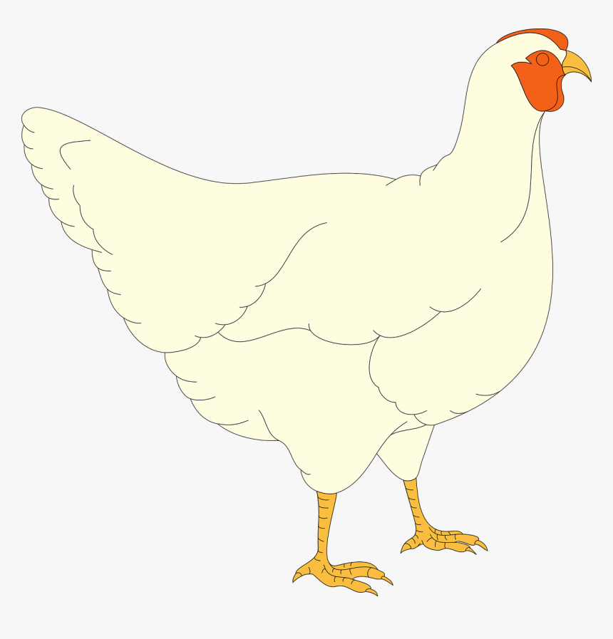 Chicken, HD Png Download, Free Download