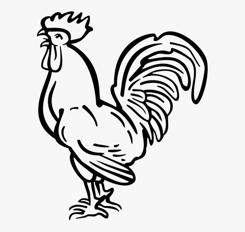 Transparent Rooster Clipart Black And White - Chicken Tattoo Png, Png Download, Free Download