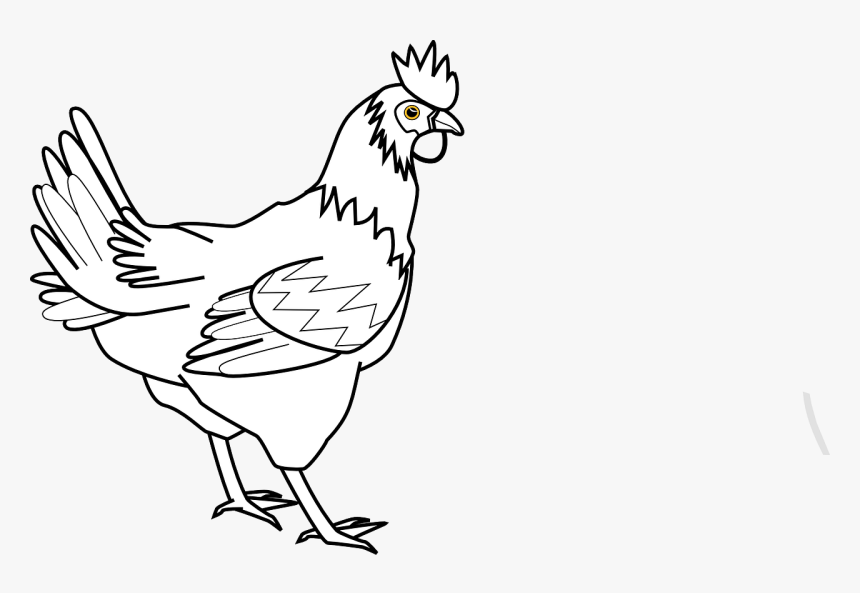 Outline Images Of Hen, HD Png Download, Free Download