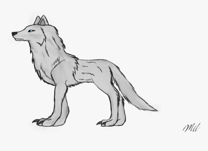 Wildlife Drawing Wolf - Png Loth Wolf, Transparent Png, Free Download