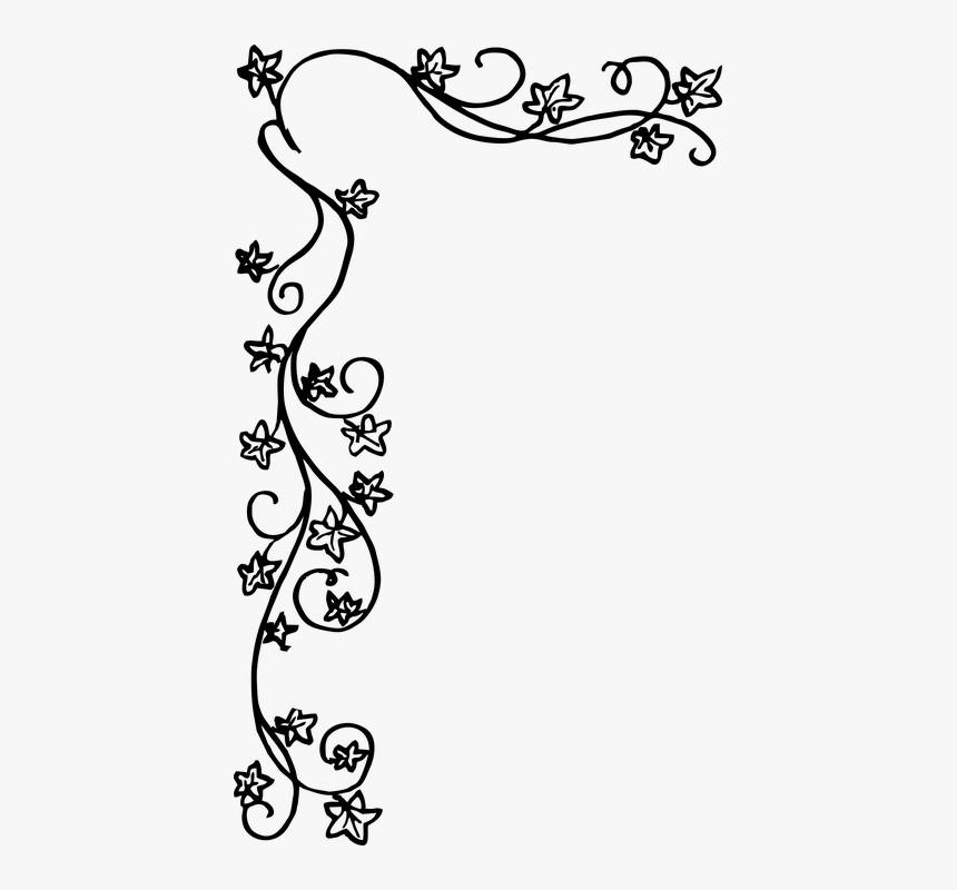 Ivy, Border, Plant, Vine, Handdrawn, Hand-drawn, Flora - Floral Border Black And White, HD Png Download, Free Download