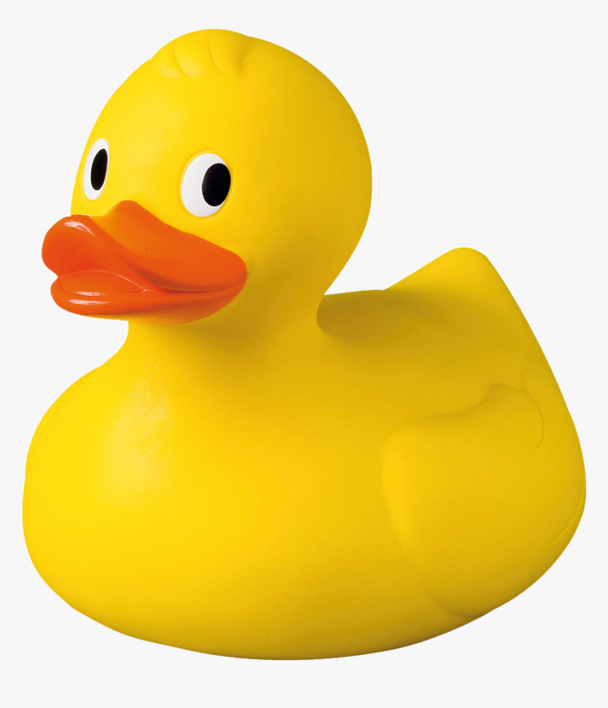 Rubber Ducky,bath Geese And Swans,bird,water Bird,beak - Rubber Ducky Transparent Background, HD Png Download, Free Download