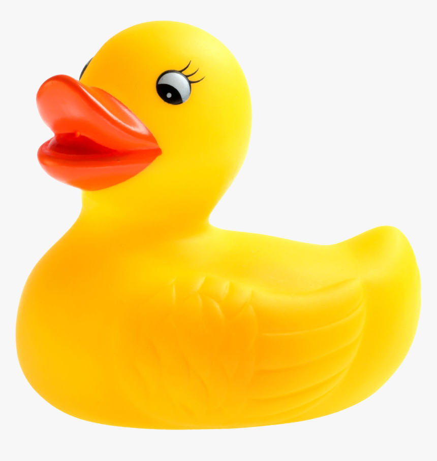 Rubber Duck Png - Transparent Background Rubber Ducky Png, Png Download, Free Download