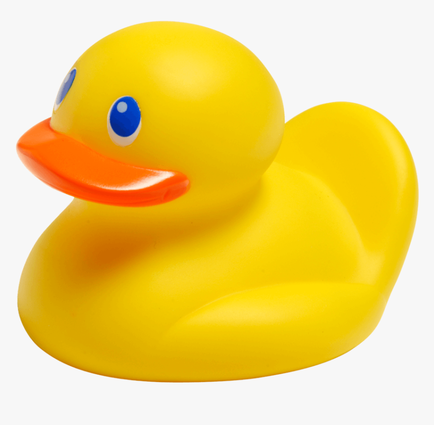 Rubber Duck Png, Transparent Png, Free Download