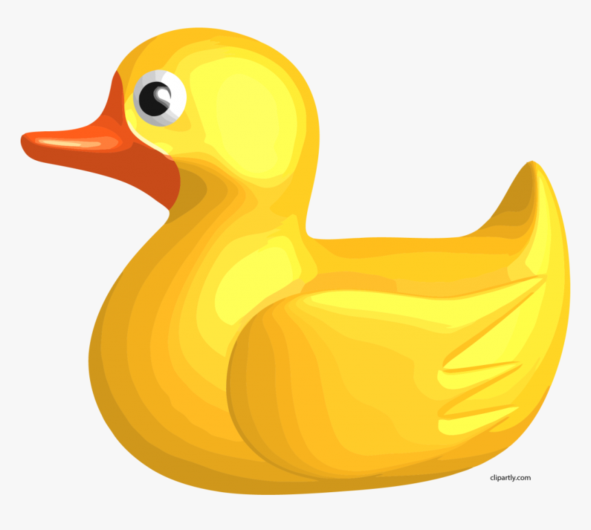 Duckling, HD Png Download, Free Download