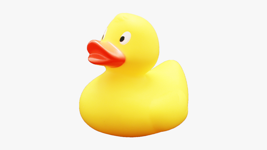 Bath Toy, HD Png Download, Free Download