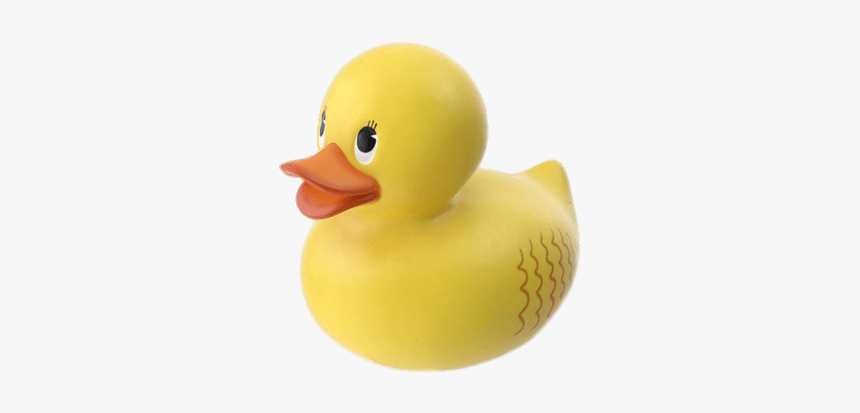 Little Rubber Duck - Duck, HD Png Download, Free Download