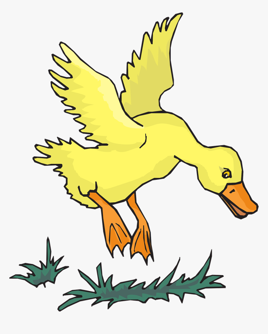 Duck, Bird, Flying, Yellow, Wings, Feathers, Water - Yellow Duck Flying Clipart, HD Png Download, Free Download