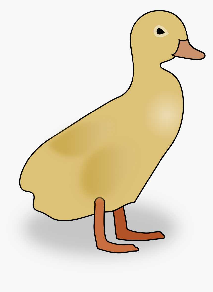 Duckling Clip Arts - Duck, HD Png Download, Free Download