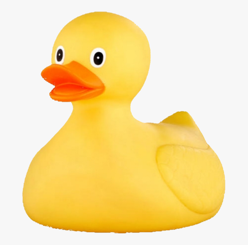 Rubber Ducky Large, HD Png Download, Free Download