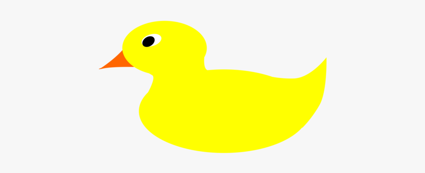 Water Bird,duck,yellow - Rubber Duck Pdf, HD Png Download, Free Download