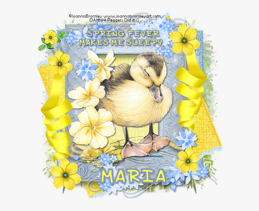 Joanna B Spring Duck Png Maria Bypeggers - Duck, Transparent Png, Free Download