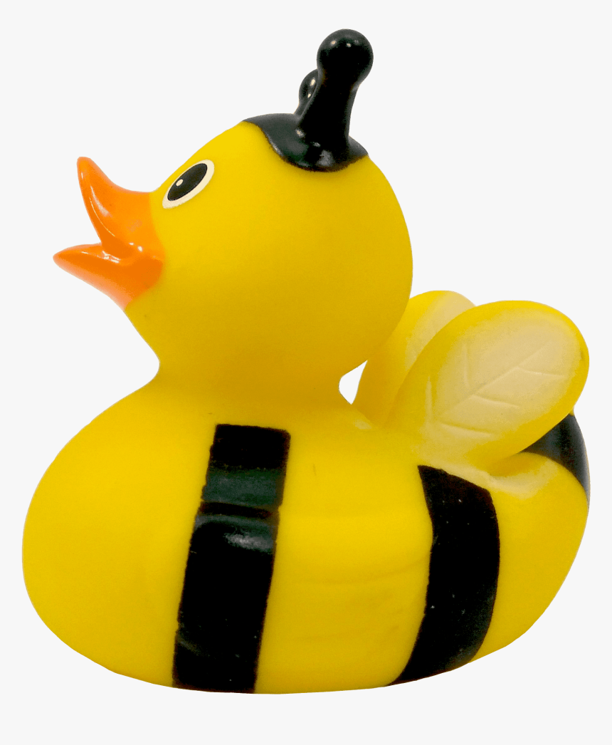 Rubber Duck Png - Duck, Transparent Png, Free Download