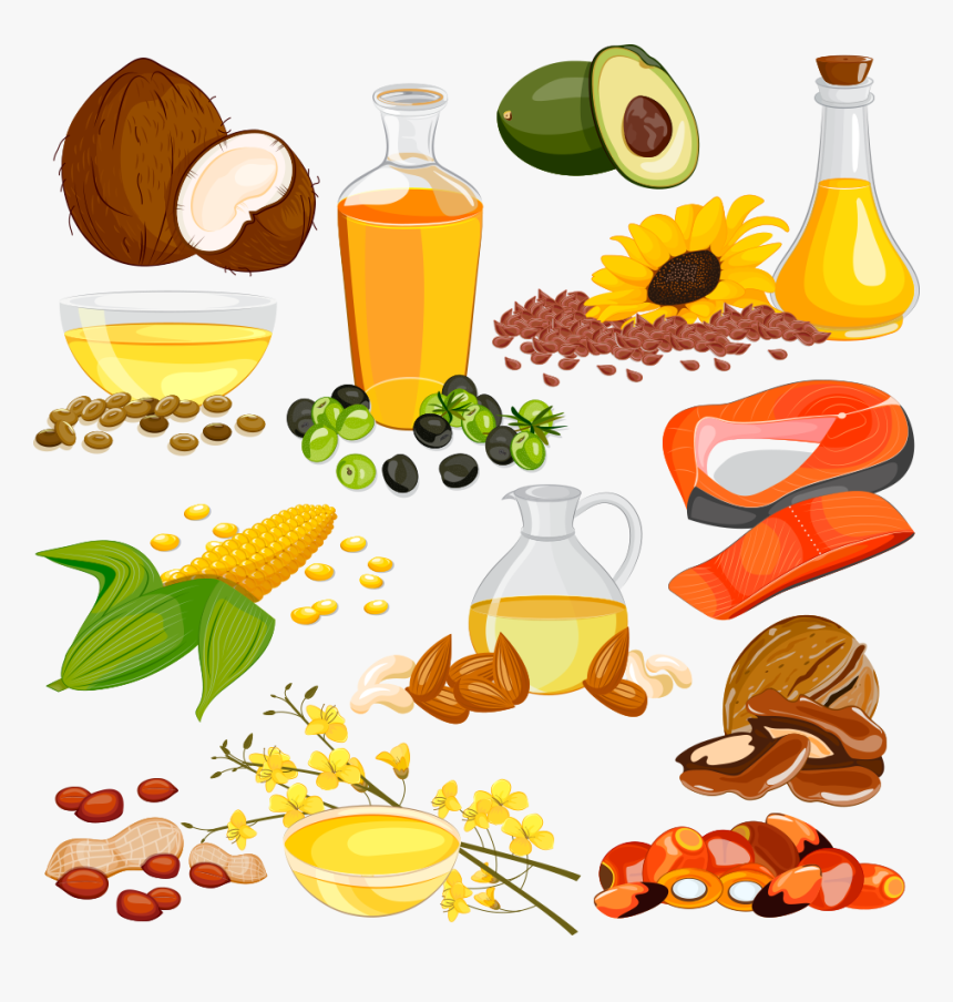 Cooking Oil Unsaturated Fat Clip Art - Sources Of Edible Oil, HD Png Download, Free Download