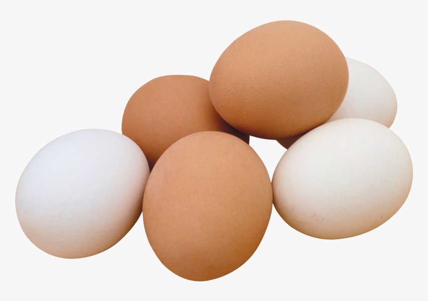 Chicken Eggs Png, Transparent Png, Free Download