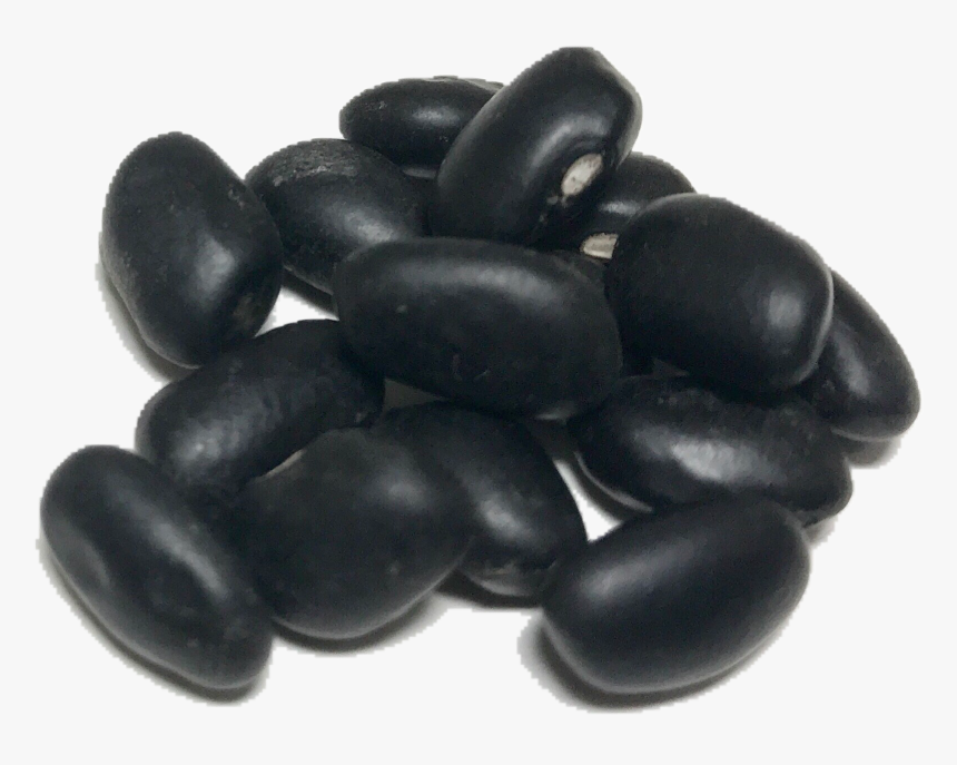 Transparent Bean Png - Black Beans Png, Png Download, Free Download