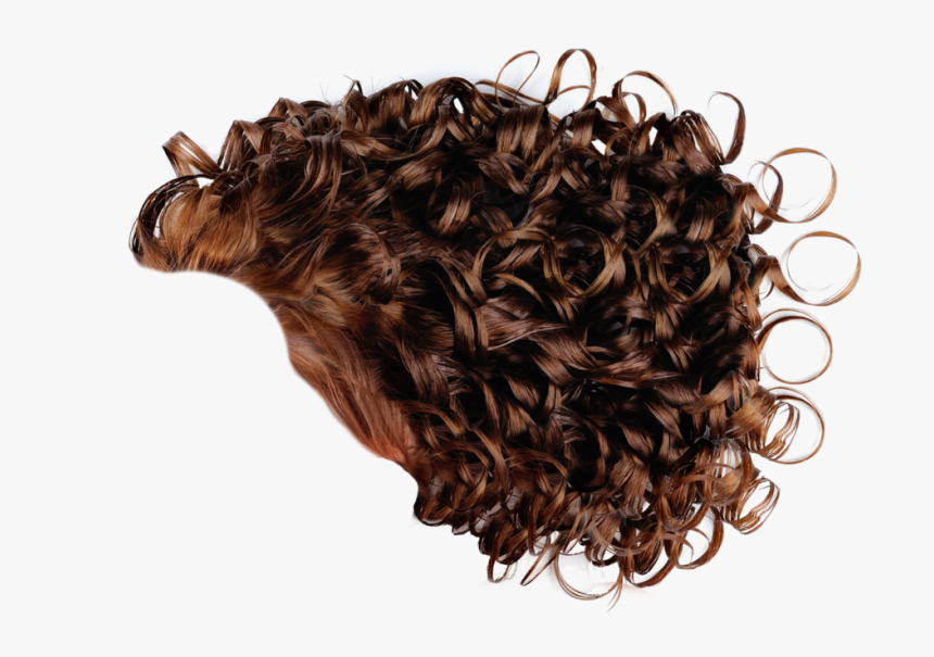 Hair Curls Png Picture Curly Hair Png Men Transparent Png Kindpng