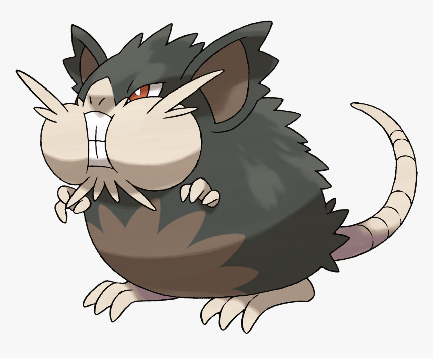 Alolan Raticate - Pokemon Alolan Raticate, HD Png Download, Free Download