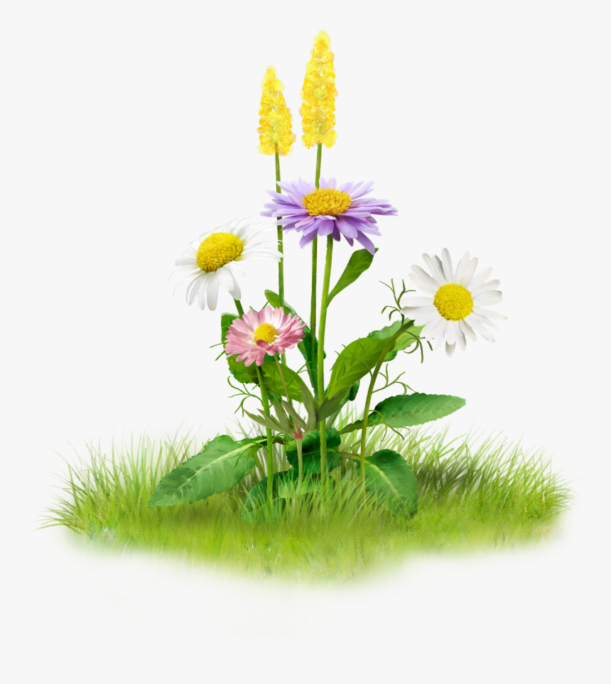 Nature Png Image - Nature Png, Transparent Png, Free Download