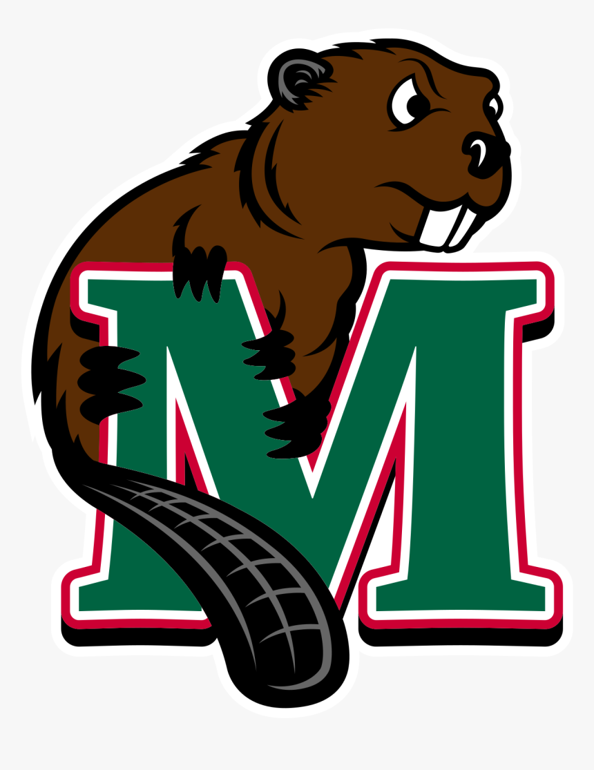 Lumberjack Clipart Beaver - Minot State University Beavers, HD Png Download, Free Download