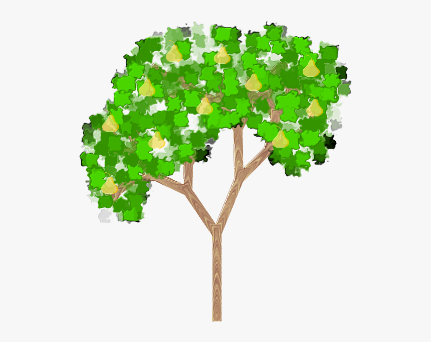 Pear Tree - Clipart Pear Tree Transparent Background, HD Png Download, Free Download