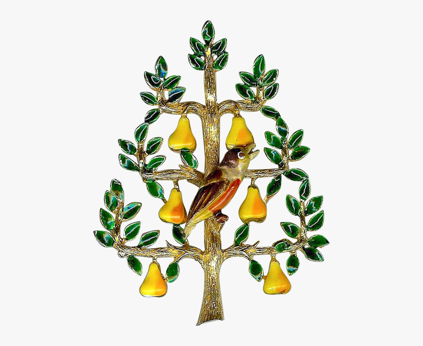 Partridge In A Pear Tree Transparent Background, HD Png Download - kindpng.