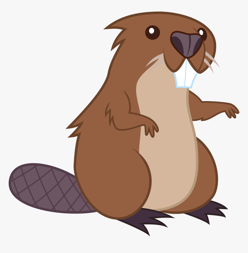 Drawing Clip Art Transprent - Transparent Background Beaver Clipart, HD Png Download, Free Download