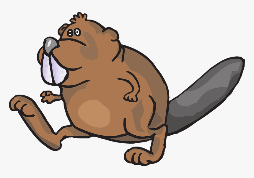 Beaver Walking Animal Free Picture - Walking Beaver, HD Png Download, Free Download