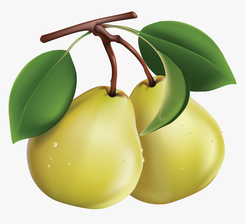 Pear,tree,fruit Plant,clip Pear,accessory Fruit - Pears Clipart Png, Transparent Png, Free Download