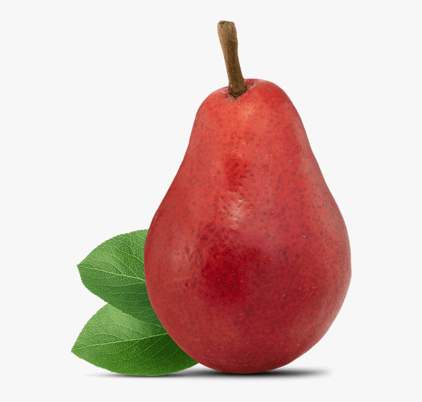 Pear Fruit, HD Png Download, Free Download