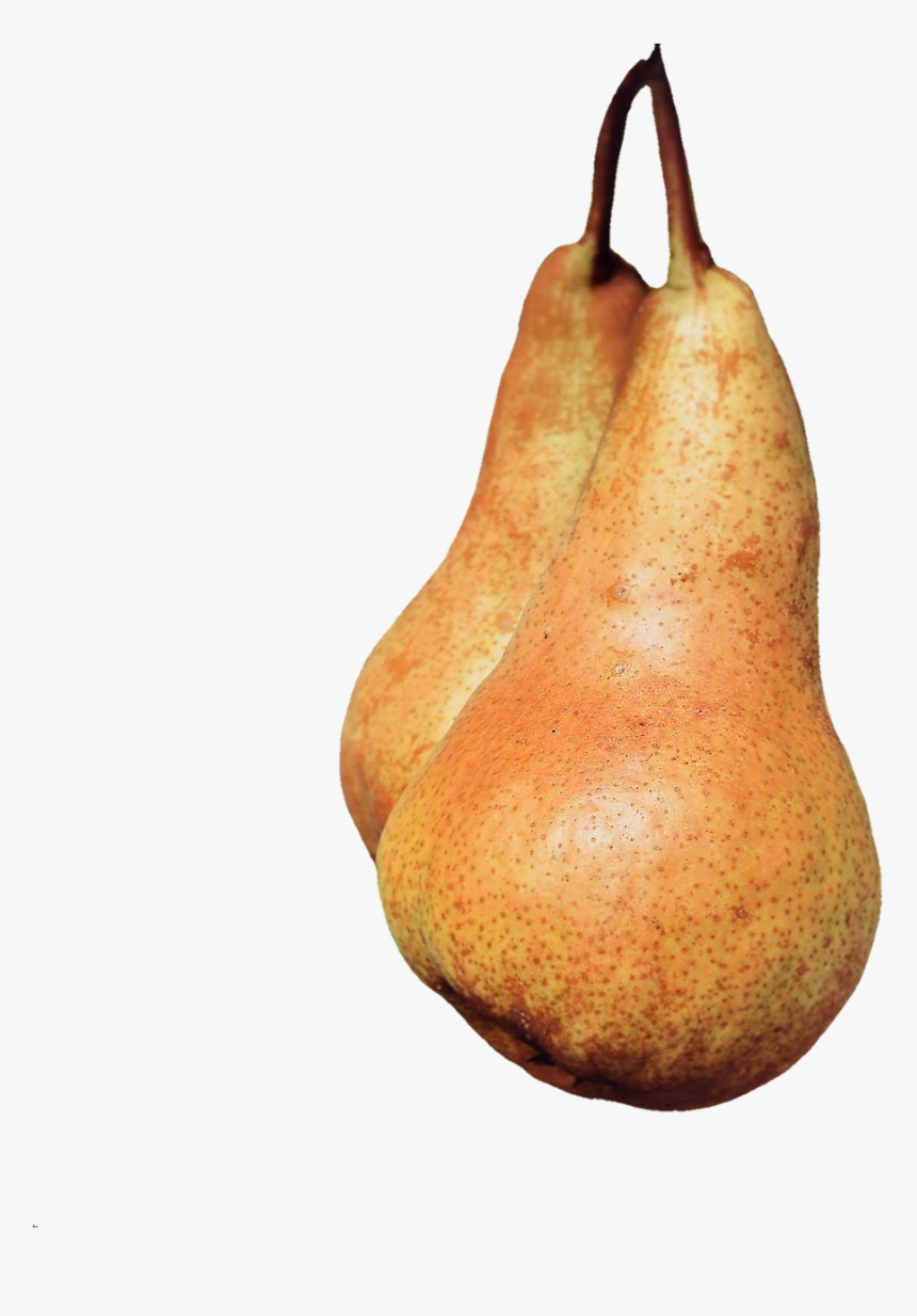 Transparent Pears Clipart - Still Life Photography, HD Png Download, Free Download