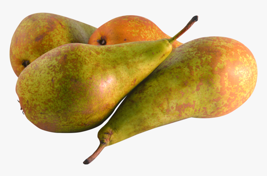 Pear Fruit Png Image - Portable Network Graphics, Transparent Png, Free Download