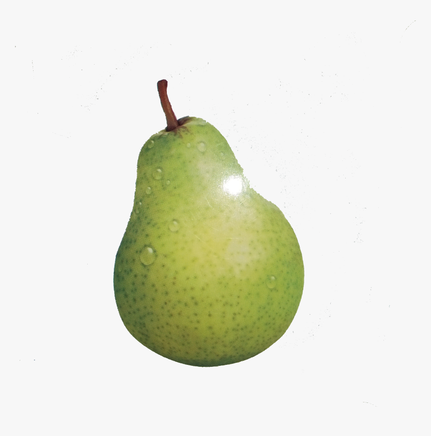 European Pear Fruit - Pear, HD Png Download, Free Download