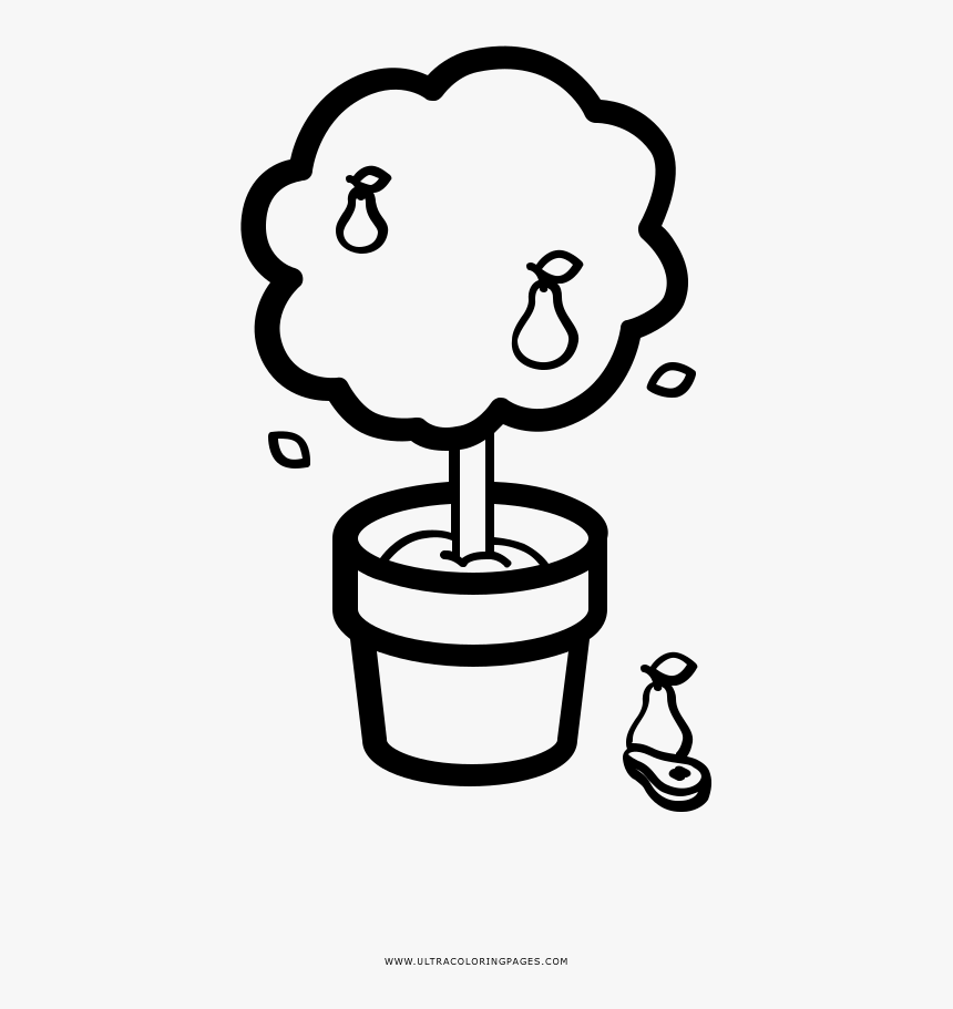 Pear Tree In A Pot Coloring Page - Arbol En Maceta Para Colorear, HD Png Download, Free Download