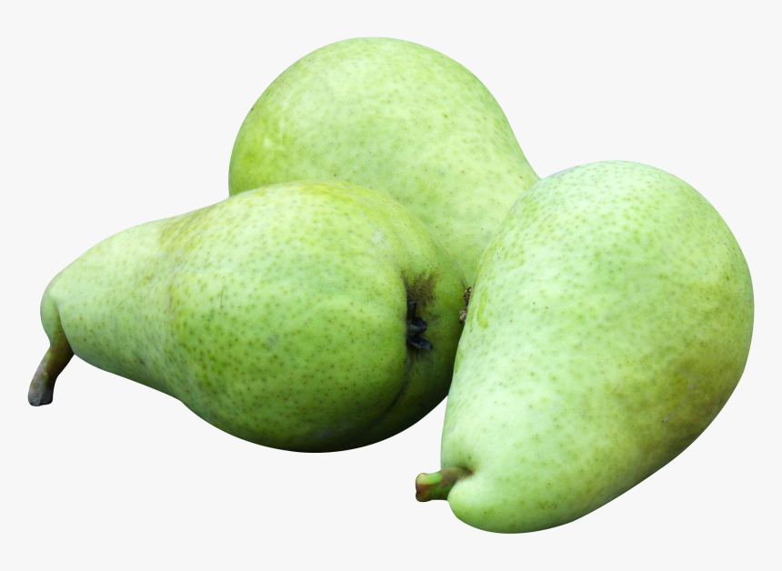 Pear Fruit Transparent, HD Png Download, Free Download