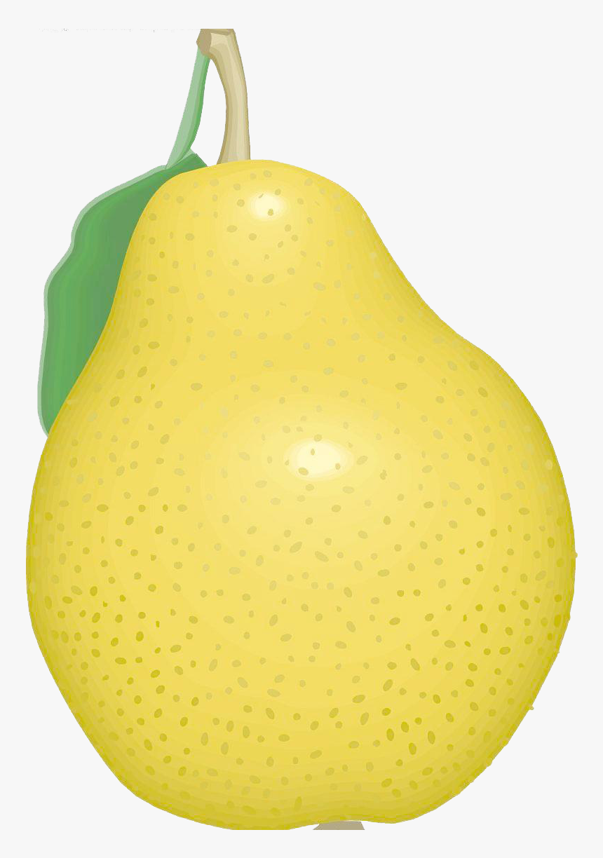 Transparent Pear Clipart - 梨 矢量 图, HD Png Download, Free Download